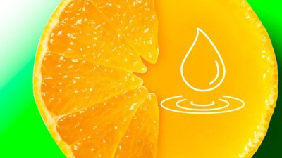 🍊 놓치면 후회! 신선한 서귀포 황금향 특가 후기