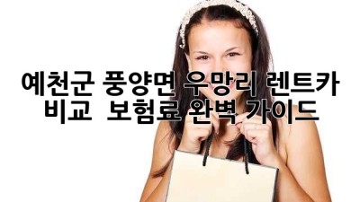 예천군 풍양면 우망리 렌트카 비교 & 보험료 완벽 가이드
