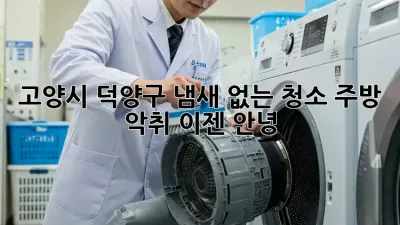 고양시 덕양구 냄새 없는 청소: 주방 악취, 이젠 안녕!